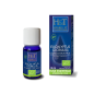 HUILE ESSENTIELLE - EUCALYPTUS GLOBULUS BIO