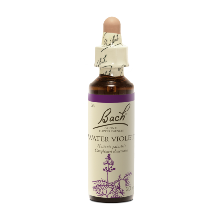 Water Violet Fleurs de Bach - Violette d'Eau