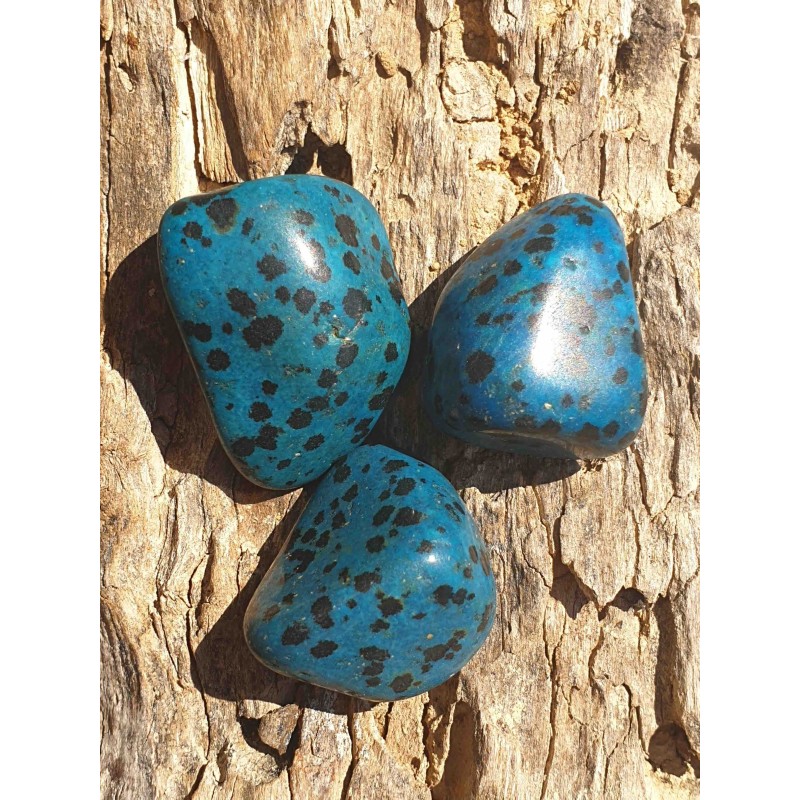 Jaspe dalmatien bleu (pierre roulée)